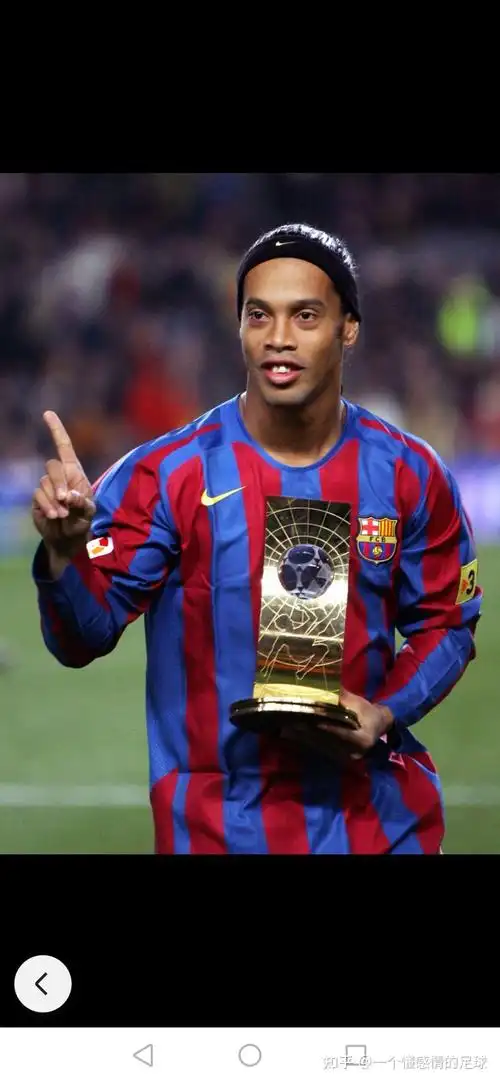 雙重適應失 雙重適應失